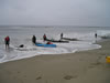 Big Kahuna Kayak Sport Fishing Tournament - Leo Carillo State Beach, CA - Kayaks Surf Launching
