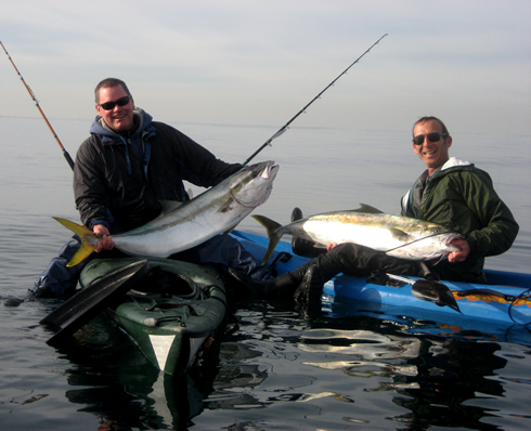 Kayak fishing for yellowtail