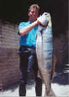 40lb White seabass - Trancas - Jimbo