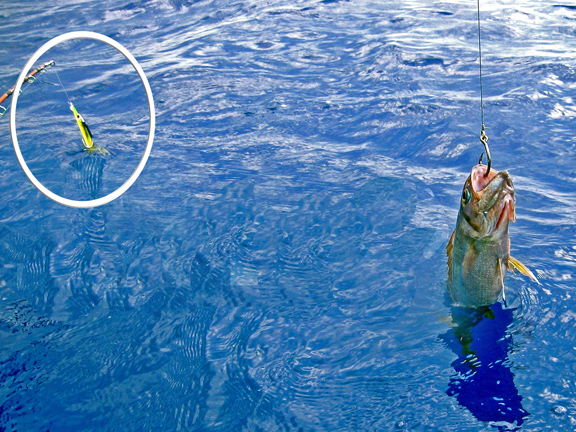 kayak fishing Hawaiian style