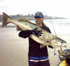 Andy Iceman Allen with a fat WSB caught off of La Jolla, CA)